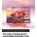 Телевизор QLED Samsung 55" QE55Q70BAUXCE Q темно-серый 4K Ultra HD 120Hz DVB-T2 DVB-C DVB-S2 WiFi Smart TV (RUS)