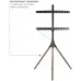 Стойка для телевизора Kromax OMEGA-11 серебристый/береза 32"-70" макс.35кг напольный фиксированный