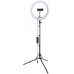 Комплект освещения Rekam RL-31 LED 190 Kit постоянный