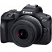 Фотоаппарат Canon EOS R100 черный 24.1Mpix 3" 1080p WiFi RF-S 18-45mm f/4.5-6.3 IS STM LP-E17