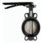 Затвор дисковый поворотный РИДАН ЗДМ 05.16.125 PN16 DN125 корп. GG25, диск - нерж. сталь AISI