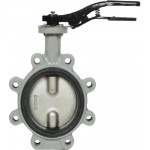 Затвор дисковый Giacomini поворотный с проушинами DN350, R59FLX035