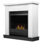 Каминокомплект:Биокамин Firelight BFP/P-3020+Портал Canto Long белый, черный