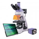 Микроскоп люминесцентный цифровой MAGUS Lum D400L LCD Микроскоп люминесцентный цифровой MAGUS Lum D400L LCD