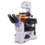 Микроскоп люминесцентный инвертированный цифровой MAGUS Lum V500L Микроскоп люминесцентный инвертированный цифровой MAGUS Lum V500L