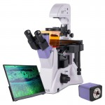 Микроскоп люминесцентный инвертированный цифровой MAGUS Lum VD500 LCD Микроскоп люминесцентный инвертированный цифровой MAGUS Lum VD500 LCD
