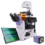 Микроскоп люминесцентный инвертированный цифровой MAGUS Lum VD500L LCD Микроскоп люминесцентный инвертированный цифровой MAGUS Lum VD500L LCD