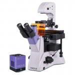 Микроскоп люминесцентный инвертированный цифровой MAGUS Lum VD500L Микроскоп люминесцентный инвертированный цифровой MAGUS Lum VD500L