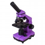 Микроскоп Levenhuk Rainbow 2L PLUS Amethyst (Аметист) Микроскоп Levenhuk Rainbow 2L PLUS Amethyst (Аметист)
