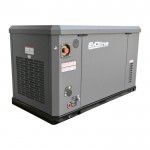 Генератор газовый EVOline GNG 19000 E