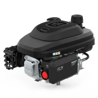 Двигатель бензиновый EVOline XP 200 A Двигатель бензиновый EVOline XP 200 A