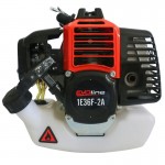 Двигатель бензиновый EVOline 1E36F-2A Двигатель бензиновый EVOline 1E36F-2A